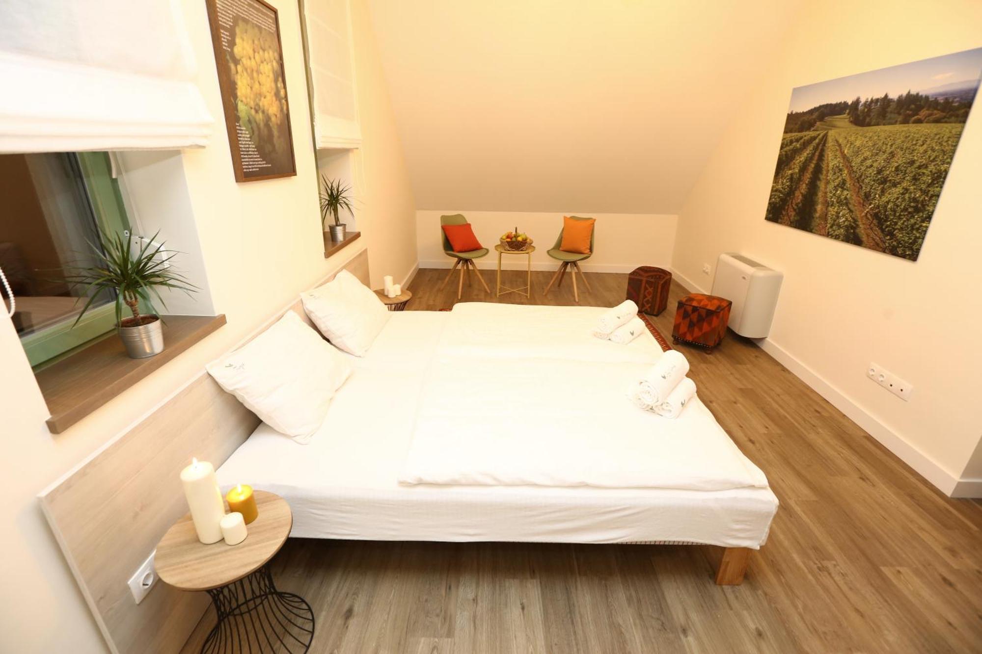 Fuerjes Udvarhaz Vászoly 部屋 写真
